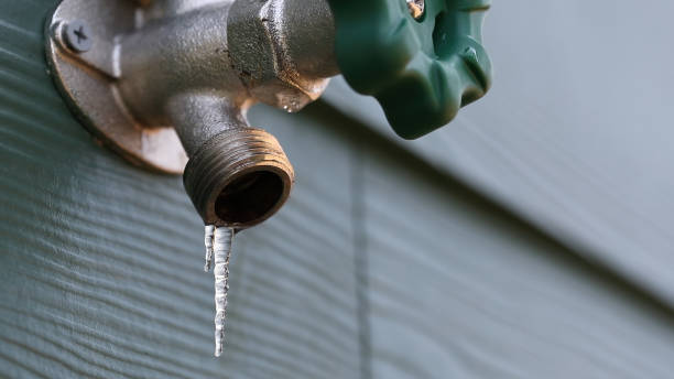 Best Clogged Drain Plumber  in Lanai City, HI